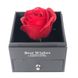 Подарочный набор розы из мыла 1 роза I Love You (подарочная коробка для украшений) + Подарок