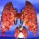 Крылья с подсветкой интерактивные Shadow Angel №2 Разноцветные