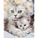 Картина по номерам Мама кошка с котенком BS52689