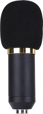 Мікрофон студійний DM-800 Золотий