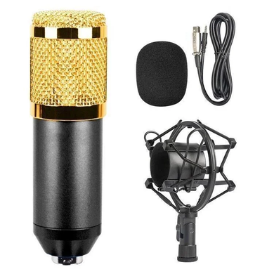 Мікрофон студійний DM-800 Золотий