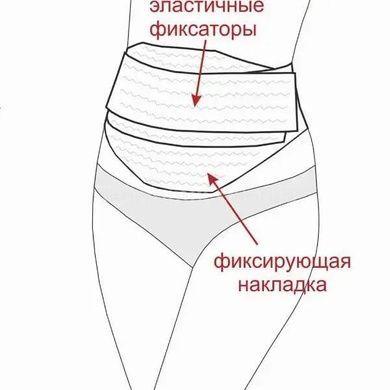 Універсальний бандаж для вагітних із гумкою через спину для подвійної підтримки L