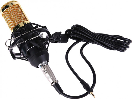 Микрофон студийный DM-800 Золотой