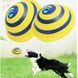 Фрисби с пищалкой для игр с животными Woof Glider