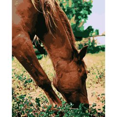 Картина по номерам Strateg ПРЕМИУМ Лошадь в лугу размером 40х50 см (DY108)