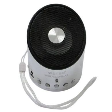 Колонка аккумуляторная компактная с FM-приемником Wster WS-A9 Серая