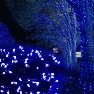 Вулична гірлянда 600 LED 50М Синій