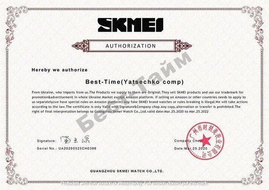 Часы детские Skmei Popular Silver 1123S для детей от 8 лет