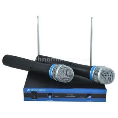 Радиосистема комплект из 2-х микрофонов DM EW-100
