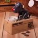 Собака копилка My Dog Piggy Bank Черная
