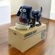 Собака копилка My Dog Piggy Bank Черная