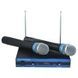 Радиосистема комплект из 2-х микрофонов DM EW-100