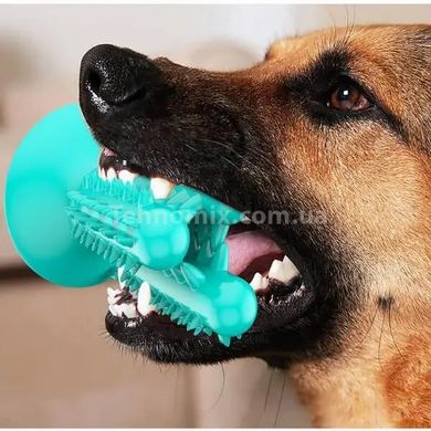Іграшка для собак Bronzedog PetFun Dental кактус на присосці Бірюзова