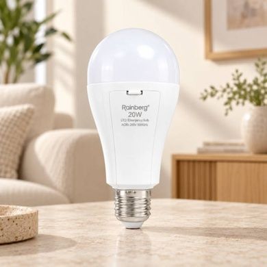 Лампочка LED у патрон Rainberg P920 20W AC/DC E27 Біла