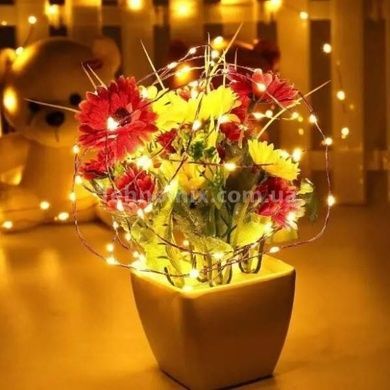Гирлянда 50LED 5м на батарейках + USB Теплый Белый