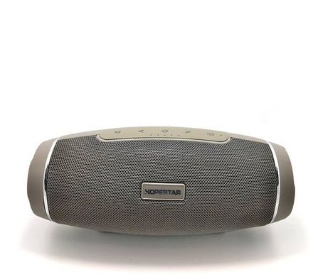 Портативна Bluetooth колонка Hopestar H27 з вологозахистом Сіра
