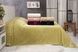 Простынь Belizza Gold yesil 200х220см Бамбук
