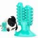 Игрушка для собак Bronzedog PetFun Dental кактус на присоске Бирюзовая