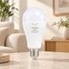 Лампочка LED у патрон Rainberg P920 20W AC/DC E27 Біла