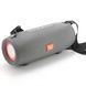 Колонка Bluetooth з функцією speakerphone з радіо TG322 Сіра