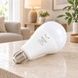 Лампочка LED у патрон Rainberg P920 20W AC/DC E27 Біла