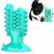 Игрушка для собак Bronzedog PetFun Dental кактус на присоске Бирюзовая