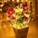 Гирлянда 50LED 5м на батарейках + USB Теплый Белый