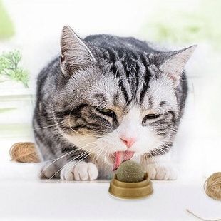 Кулька котячі ласощі з м'ятою на клейкій основі