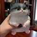 Сквіш-антистрес Котик сидить 11*16см Pinch Family Білий з чорним