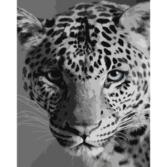Картина за номерами Strateg ПРЕМІУМ Леопард з лаком розміром 40х50 см (SY6668)