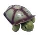 Нічник - проектор черепаха Turtle Night Sky Зелений