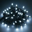Гирлянда уличная линейная 220V 100LED 10м 4551 AND 88-10 Черный провод, белый свет