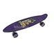 Пенни борд со светящимися колесами PU Penny Board Scale Sports Universe Скелет