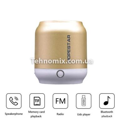 Портативна колонка Bluetooth Hopestar H8 Gold