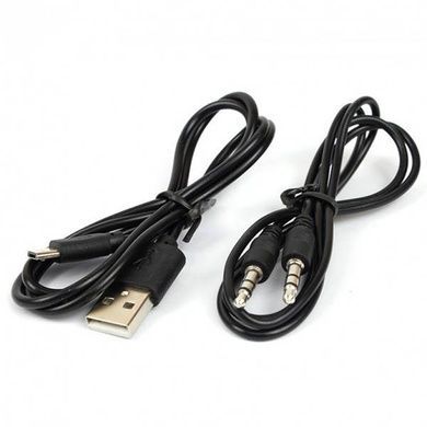 Портативная колонка Bluetooth Hopestar H8 Gold
