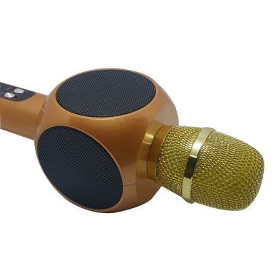 Караоке-мікрофон L19 золотий з чохлом