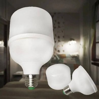 Лампочка аккумуляторная 30Вт ALMINA DL-030 Белая