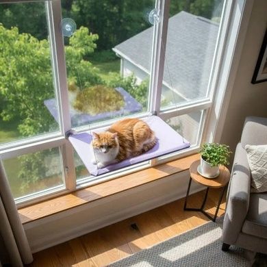 Лежанка для кішок на вікно з присосками Window Mounted Cat Bed Фіолетова