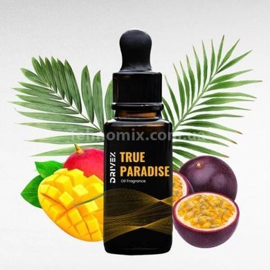 Ароматизатор автомобильный на солнечной батарее с номерной табличкой True Paradise Черный