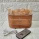 Зволожувач повітря з соляним камінням Aroma Diffuser UV-1/FT-1928 Світле дерево