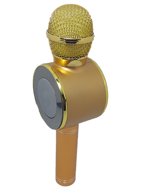 Безпровідний мікрофон Wster WS-668 Золотий