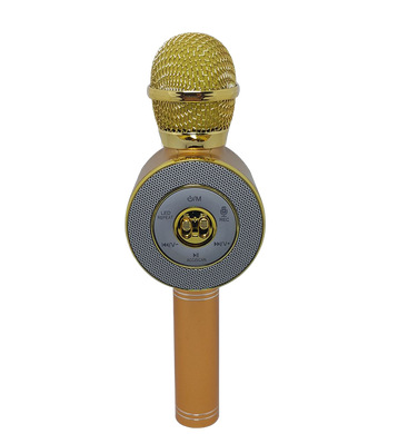 Беспроводной микрофон Wster WS-668 Золотой