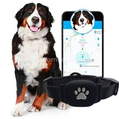 Ошейник GPS для собак MYOX MPT-60DB Черный