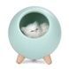 Ночник LITTLE PET HOUSE Зелёный
