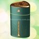 Зволожувач повітря з підсвічуванням Fog Humidifier 8496 Зелений