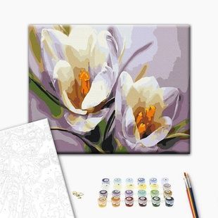 Картина за номерами Крокуси BS5828