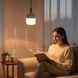 Лампочка аккумуляторная LED Е27 20W AY-913 Белая