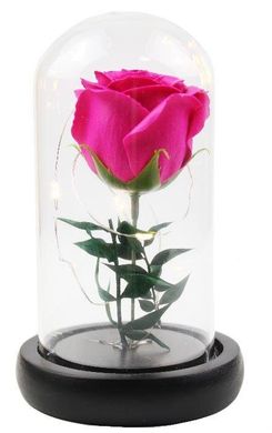 Роза в колбе с LED подсветкой МАЛЕНЬКАЯ №A51 розовая