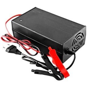 Зарядний пристрій із затискачами LiitoKala 29.2V10A+EU+Clip Чорне