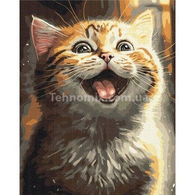 Картина по номерам Натхненний котик &copy; Маріанна Пащук BS53803
